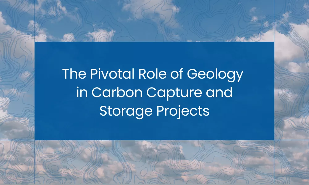 Carbon Capture and Storage